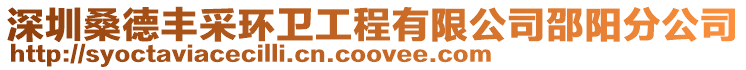 深圳桑德豐采環(huán)衛(wèi)工程有限公司邵陽分公司
