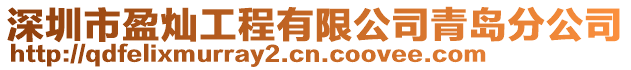 深圳市盈燦工程有限公司青島分公司