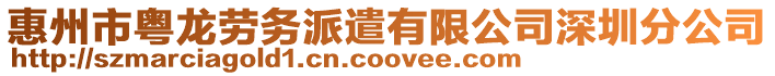 惠州市粵龍勞務派遣有限公司深圳分公司