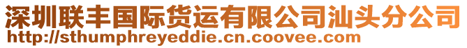 深圳聯豐國際貨運有限公司汕頭分公司