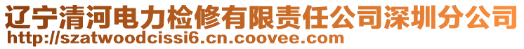 遼寧清河電力檢修有限責(zé)任公司深圳分公司