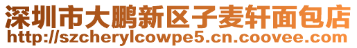深圳市大鵬新區子麥軒面包店
