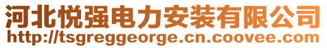 河北悅強電力安裝有限公司