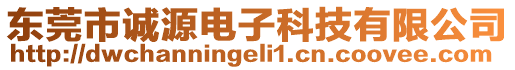 東莞市誠源電子科技有限公司