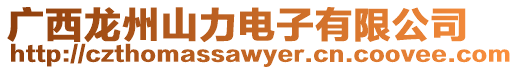廣西龍州山力電子有限公司