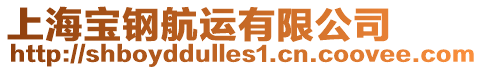 上海寶鋼航運有限公司
