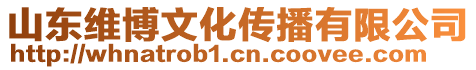 山東維博文化傳播有限公司