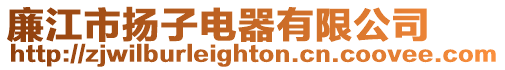 廉江市揚(yáng)子電器有限公司