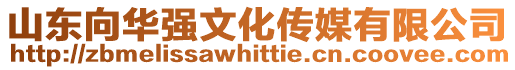 山東向華強文化傳媒有限公司