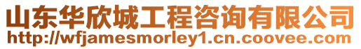 山東華欣城工程咨詢有限公司