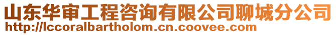 山東華審工程咨詢有限公司聊城分公司