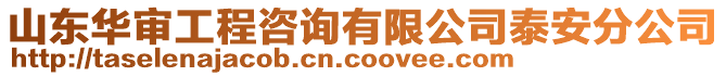 山東華審工程咨詢有限公司泰安分公司