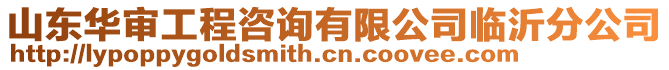 山東華審工程咨詢有限公司臨沂分公司