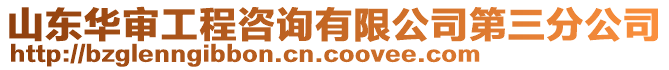 山東華審工程咨詢有限公司第三分公司