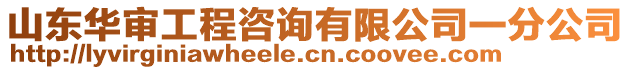 山東華審工程咨詢有限公司一分公司