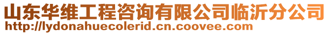 山東華維工程咨詢有限公司臨沂分公司