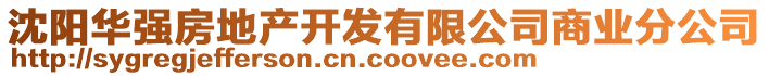 沈陽華強房地產開發(fā)有限公司商業(yè)分公司