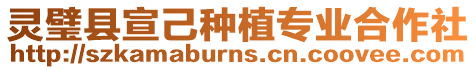 靈璧縣宣己種植專業合作社