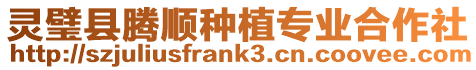 靈璧縣騰順種植專業合作社