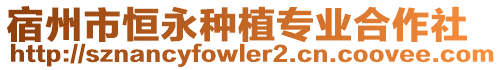宿州市恒永種植專業合作社