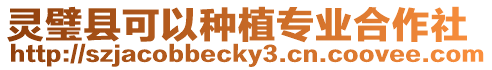 靈璧縣可以種植專業(yè)合作社