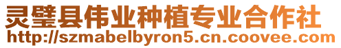 靈璧縣偉業(yè)種植專業(yè)合作社