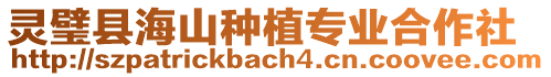 靈璧縣海山種植專業(yè)合作社