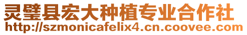 靈璧縣宏大種植專業合作社