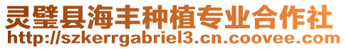 靈璧縣海豐種植專業合作社
