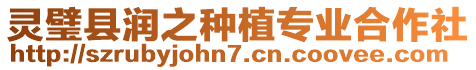 靈璧縣潤之種植專業合作社
