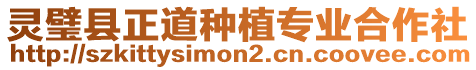 靈璧縣正道種植專業合作社