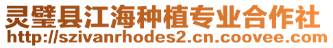 靈璧縣江海種植專業(yè)合作社