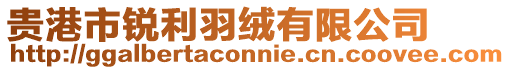貴港市銳利羽絨有限公司