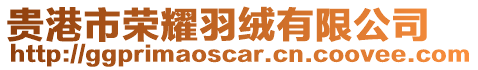 貴港市榮耀羽絨有限公司
