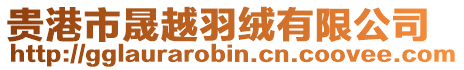 貴港市晟越羽絨有限公司