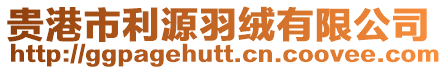 貴港市利源羽絨有限公司