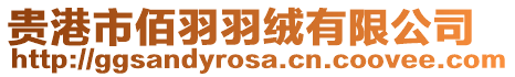 貴港市佰羽羽絨有限公司