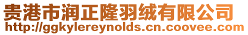 貴港市潤正隆羽絨有限公司