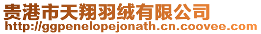 貴港市天翔羽絨有限公司