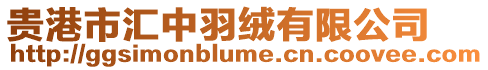 貴港市匯中羽絨有限公司