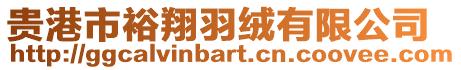 貴港市裕翔羽絨有限公司