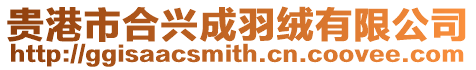 貴港市合興成羽絨有限公司