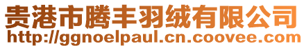 貴港市騰豐羽絨有限公司