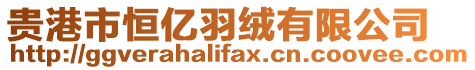 貴港市恒億羽絨有限公司