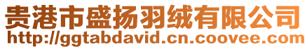 貴港市盛揚羽絨有限公司