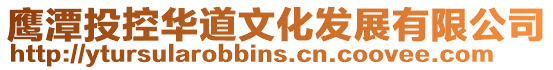 鷹潭投控華道文化發展有限公司