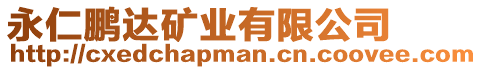 永仁鵬達礦業(yè)有限公司