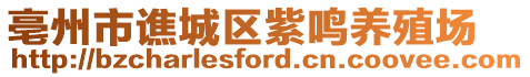 亳州市譙城區(qū)紫鳴養(yǎng)殖場