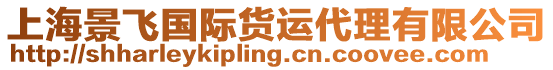 上海景飛國(guó)際貨運(yùn)代理有限公司