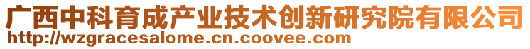 廣西中科育成產業技術創新研究院有限公司